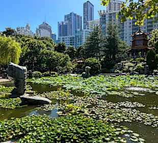 Impressionen aus dem chinesischen Garten
