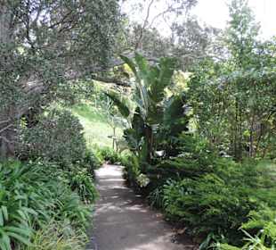 Eden Garden ein Paradies mitten in der Stadt