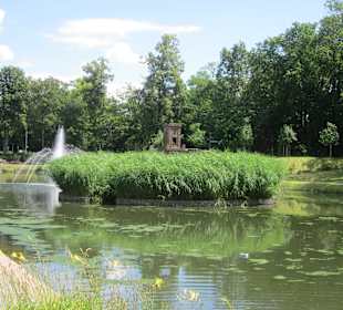 Schwanenweiher