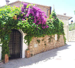 Streetview