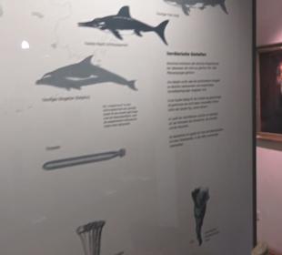 Naturkundemuseum