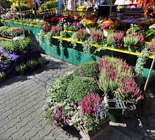 Rundgang über den Wochenmarkt Südermarkt 
