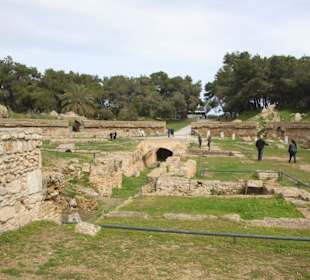 Arena