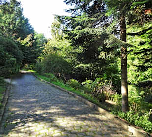 Rundgang durch den Alten Botanischen Garten Kiel