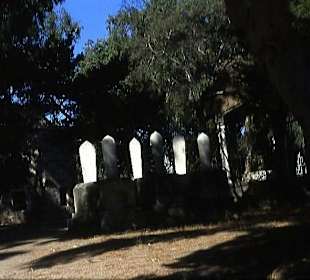 Gräber auf dem Türkischen Freidhof