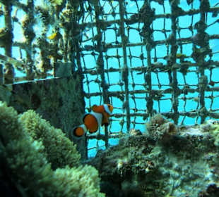 Aussicht vom Unterwasserturm