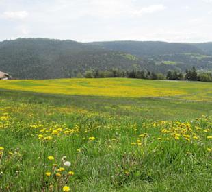 Frühlingsimpressionen