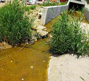 Vom Sunrise Richtung Kumköy-Evrenseki am Strand