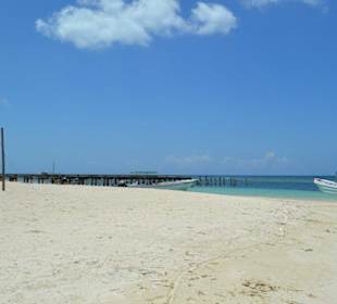 Saona 