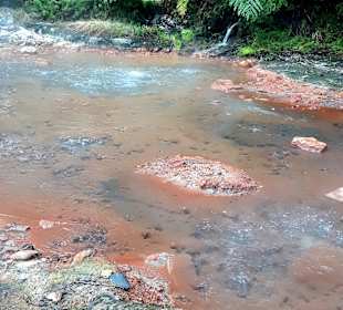 Caldeira Velha