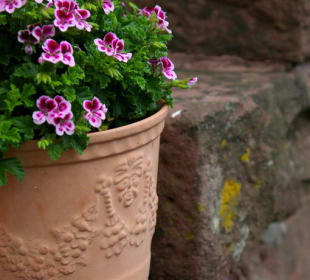 Ein nettes Detail AKZENT  Hotel Frankenbrunnen