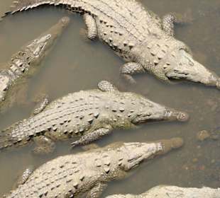 Blick von der Brücke