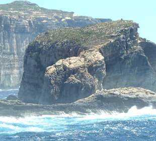 Fungus Rock