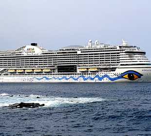 Hafen Santa Cruz de la Palma