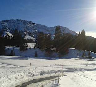 Spaziergang am Mittag