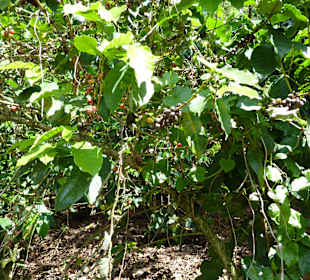 Berg und Tal Tour – Oktober 2014