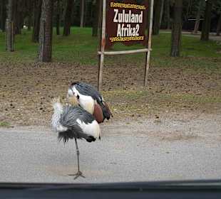 Serengeti Park Hodenhagen
