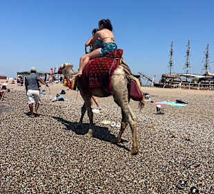 Seven Tours Antalya