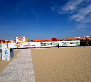 Ganzer Pluto-Bereich