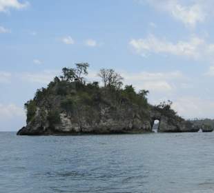 Castaway Cruise
