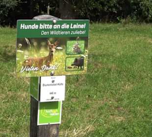 Hochgehnießen - Premiumspazierwanderweg