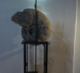 Jura-Museum