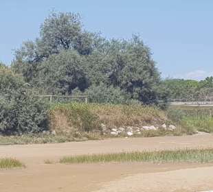 Im Vorfeld schon Naturschutz