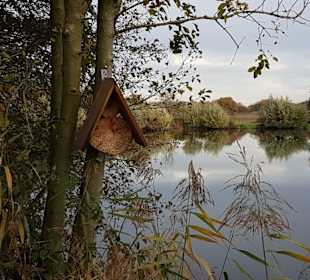 Halbrundkurs um den schönen Mühlenteich