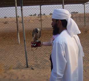 Falkner mit seinem Tier