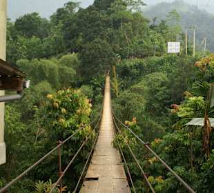 Hängebrücke - sehr lustig
