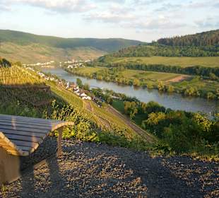 Wandern Alf an der Mosel