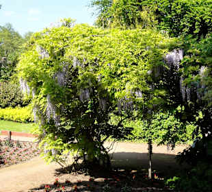 Spaziergang durch den Kurpark
