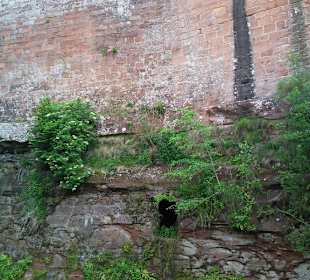 Château de Lichtenberg