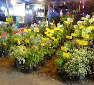 Auf dem Nachtmarkt von Kanchanaburi
