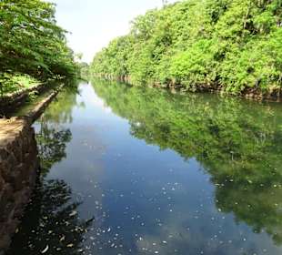 Elefantenreiten Sigiriya