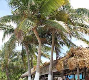 Nationalpark Sian Ka'an, Punta Allen