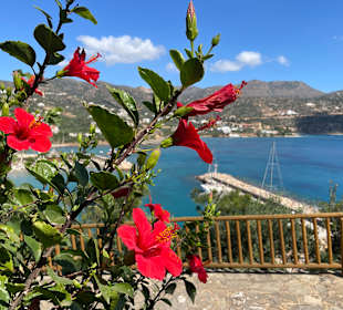 Hafen Agios Nikolaos