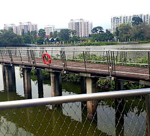 Jurong Lake und Gärten