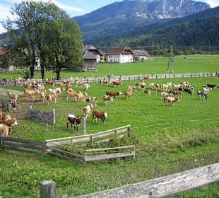 Almabtieb in Rattendorf im September