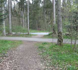 Vitus Mayer Waldlehrpfad