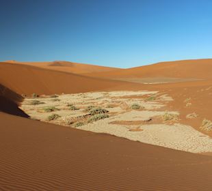 Namib Naukluft N.P.
