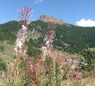 In montagna