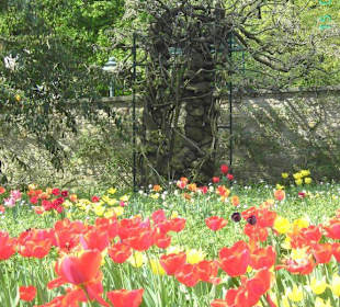 Ausblicke im Hermannshof