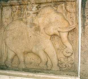 Elefantenrelief in Kandy