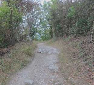 Wanderweg zur Achalm
