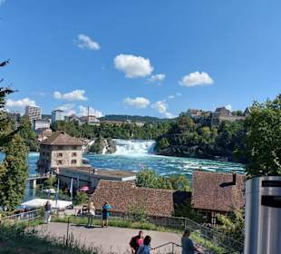 Rheinfall mit Schloss Wörth