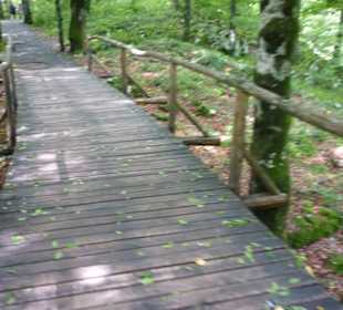 Holzplanken-Wege 