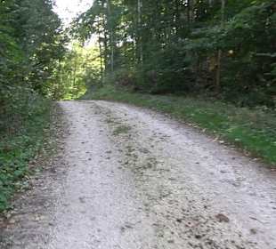 Bussen Schöpfungsweg Offingen
