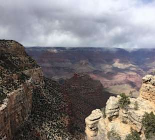 Grand Canyon