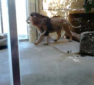 Tierpark Hellabrunn in München